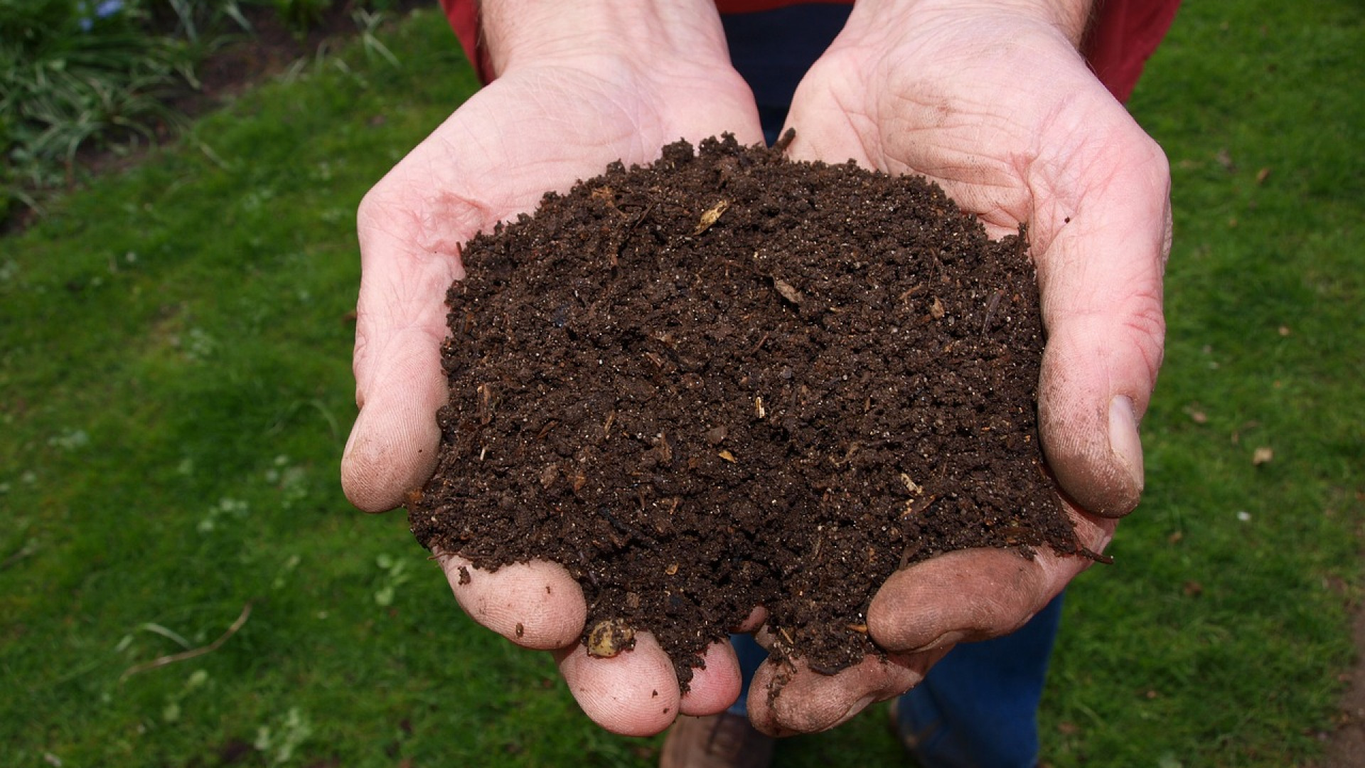 Découvrez les avantages d'un potager composteur autonome !