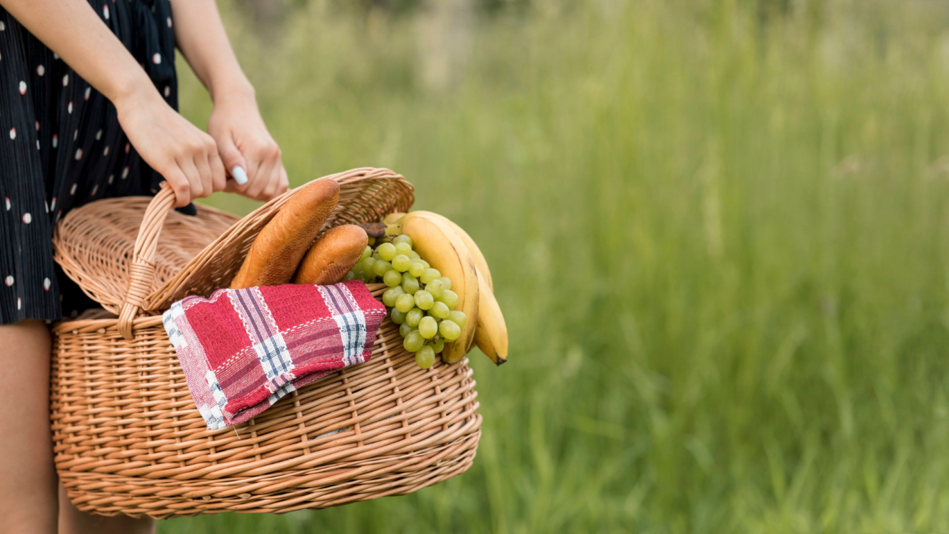 Les avantages du panier en osier pour vos sorties en nature